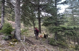Toroslar'da "Hazine" Mesaisi Başladı:...