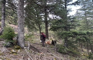 Toroslar'da "Hazine" Mesaisi Başladı:...
