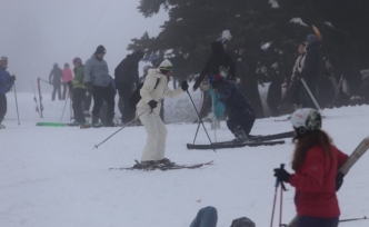 47 Bin Araç Giriş Yaptı, Ziyaretçi Sayısı 230 Bini Aştı!